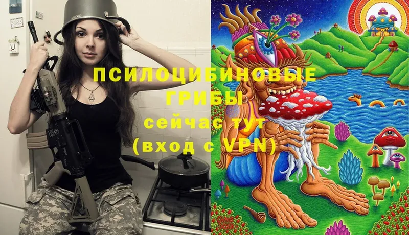 Галлюциногенные грибы Psilocybine cubensis Борзя